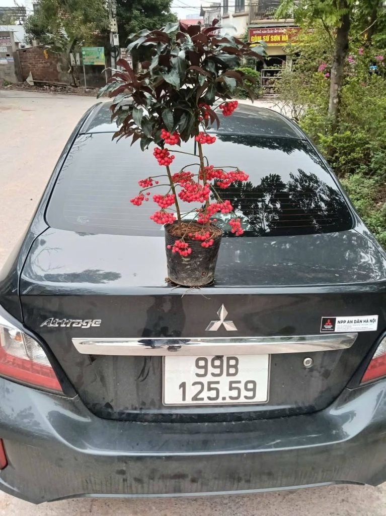 Xe Bắc Ninh